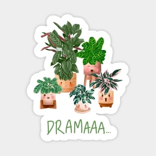 Drama Queens Calathea Plants Sticker